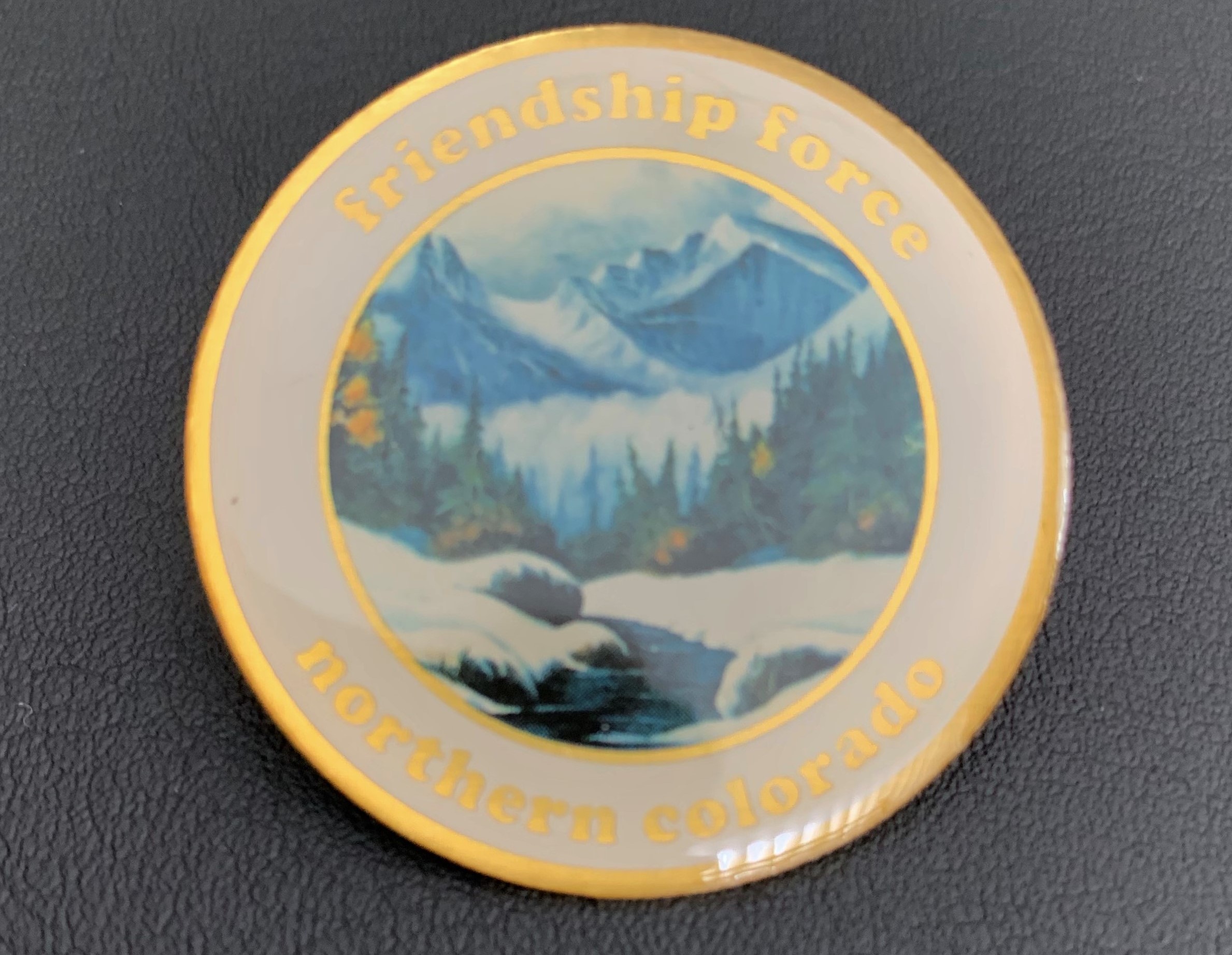 FFNColo Lapel Pin
